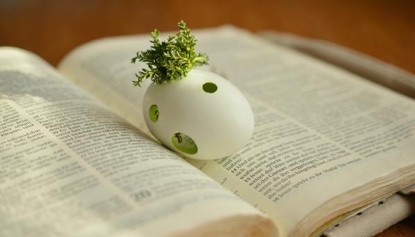 100 faits sur la Bible
